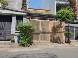 MT lê thị hồng